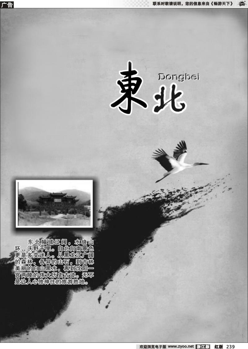 239 东北专版