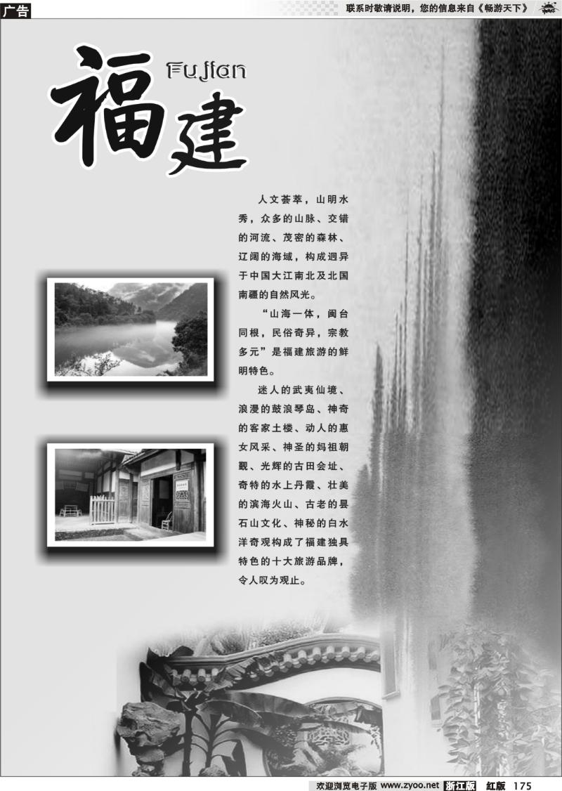 175 福建专版