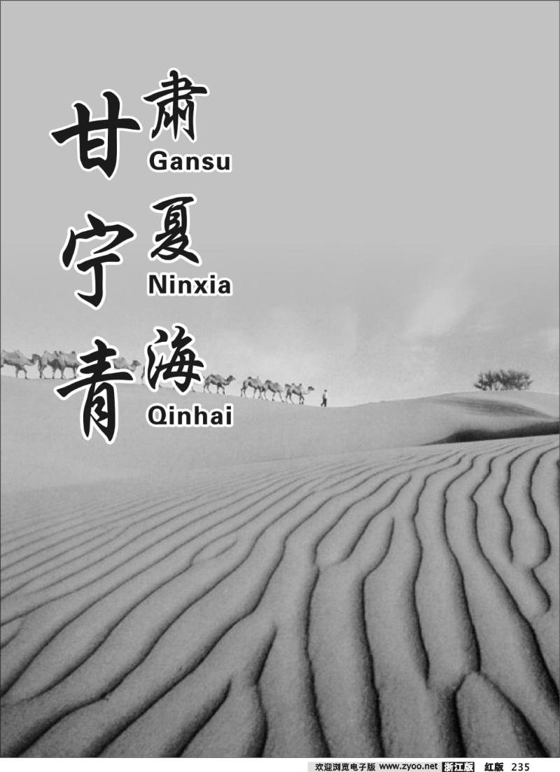 235 甘青宁专版