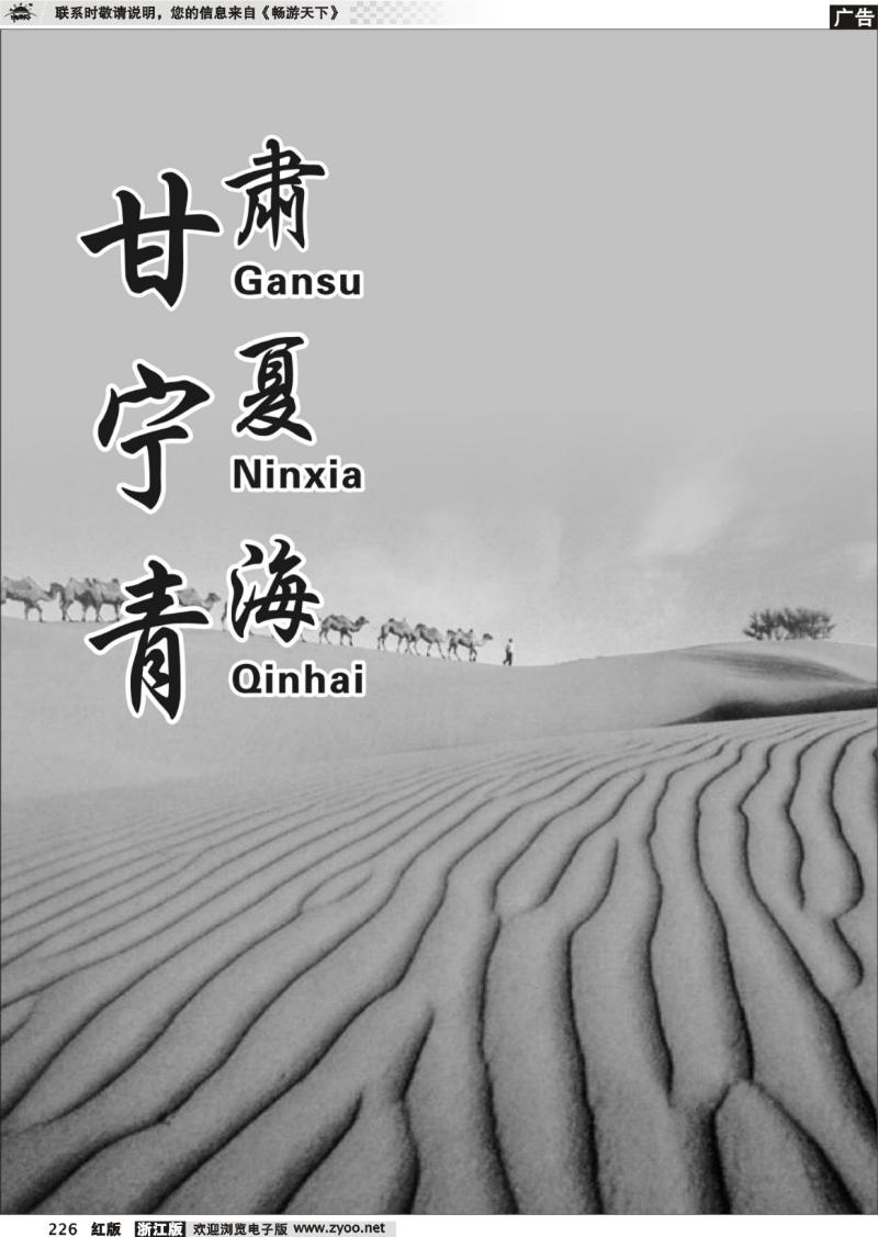 226  甘青宁专版
