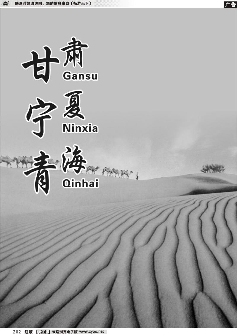 202 甘青宁专版