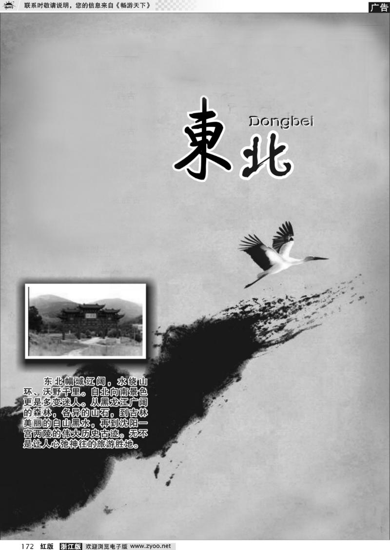 172 东北专版