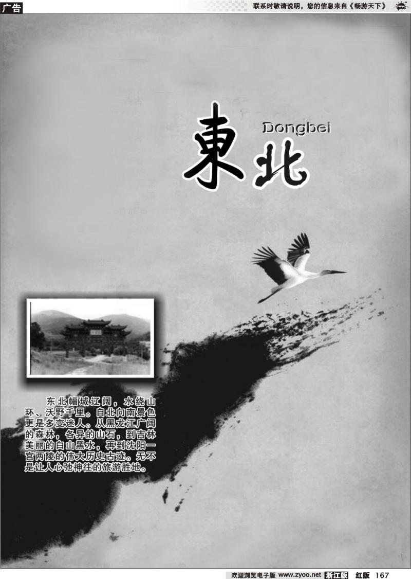167 东北专版