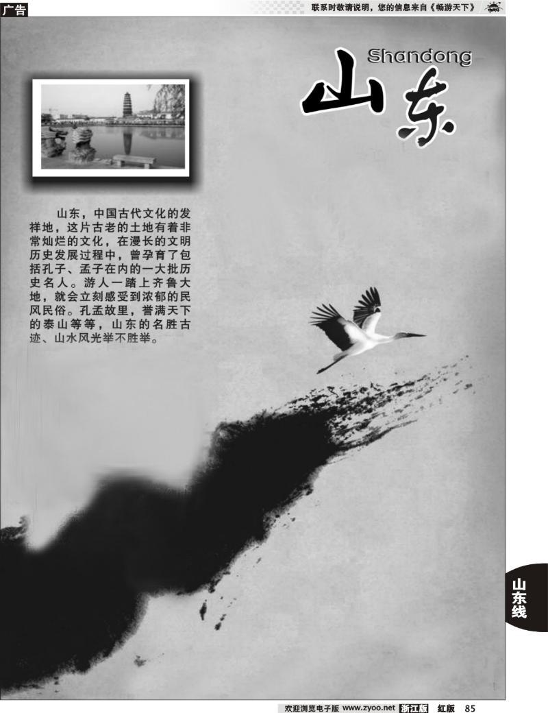 85 山东专版