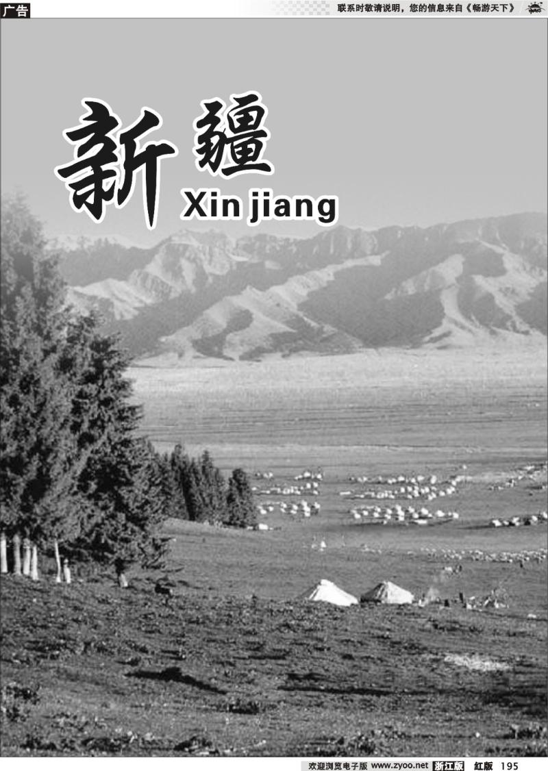 195 新疆专版
