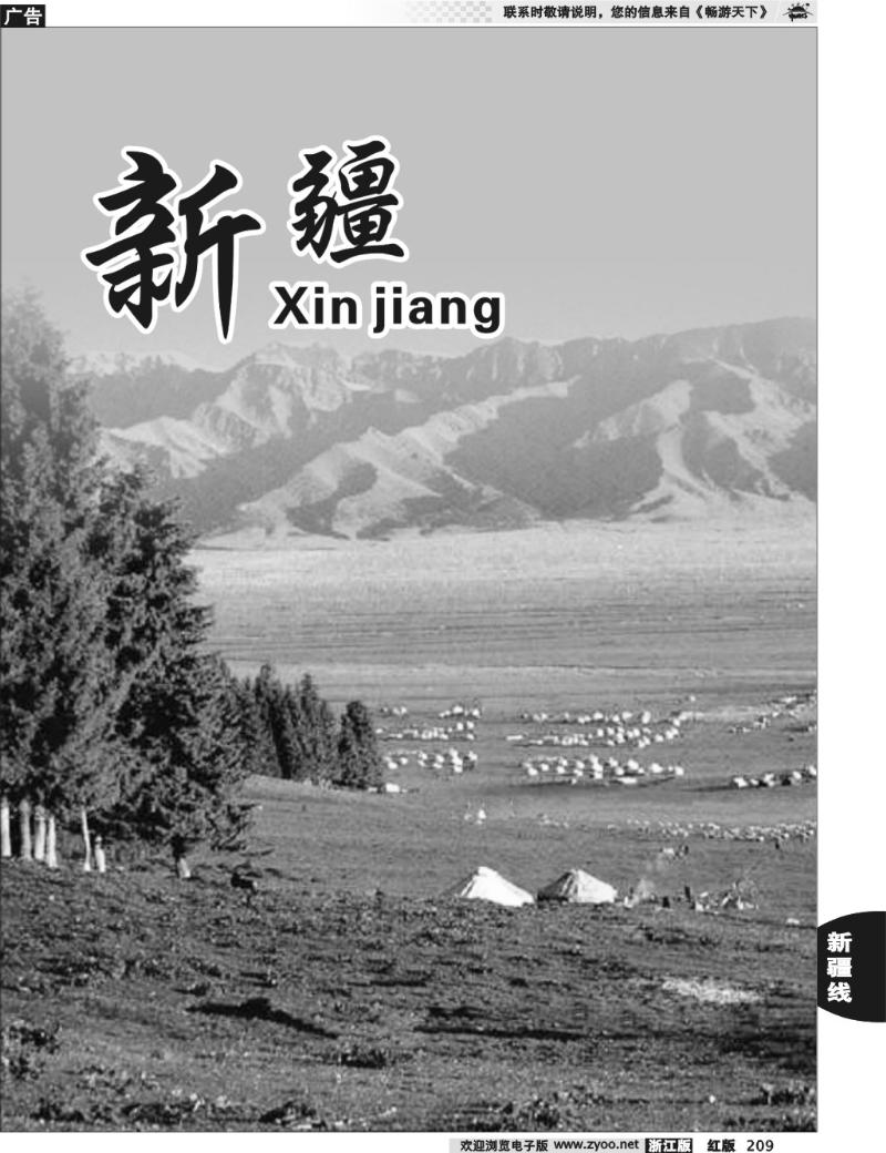 209 新疆专版