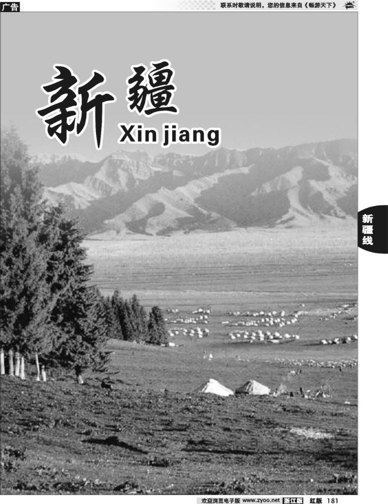 181 新疆专版   