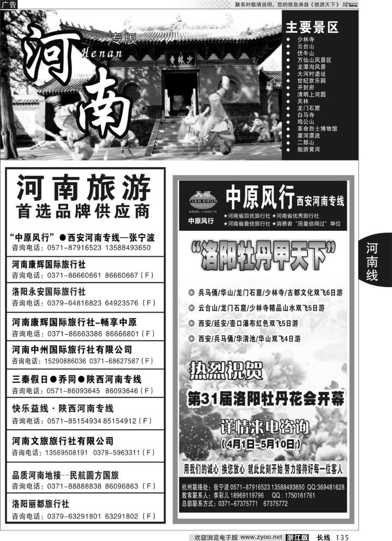 135 河南专版 中原风行 河南品质地接-张宁波