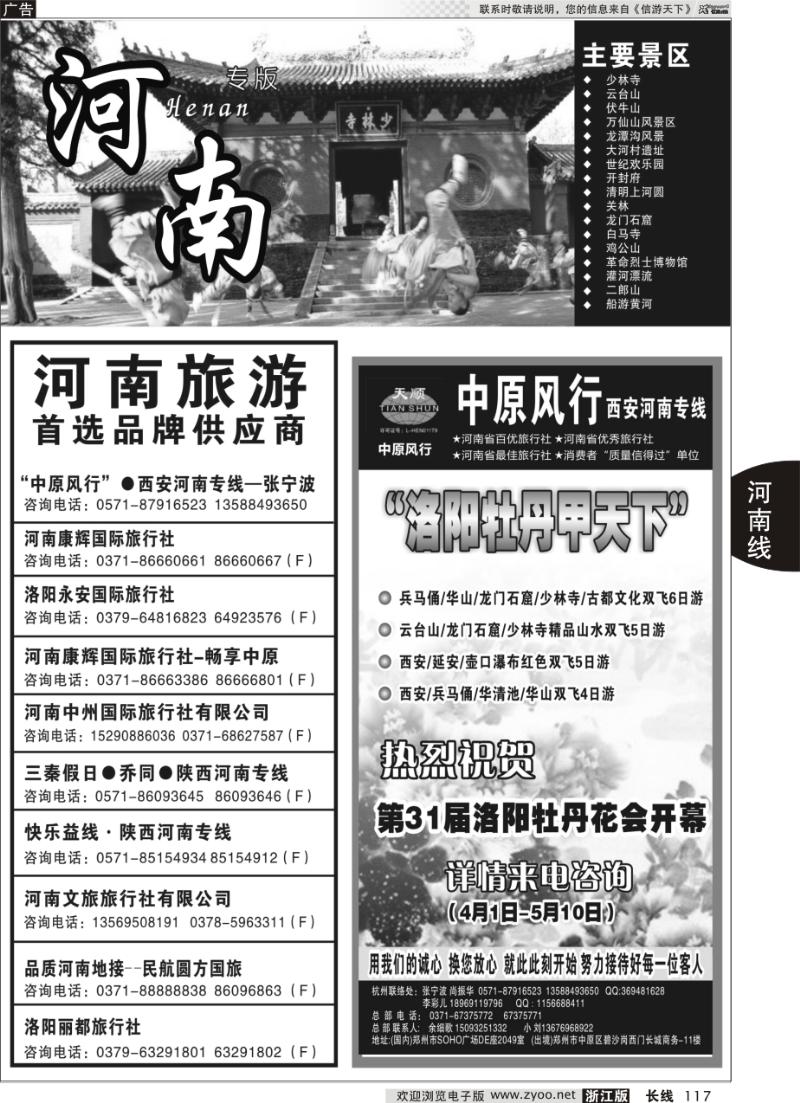 117 河南专版 （中原风行）河南品质地接——张宁波