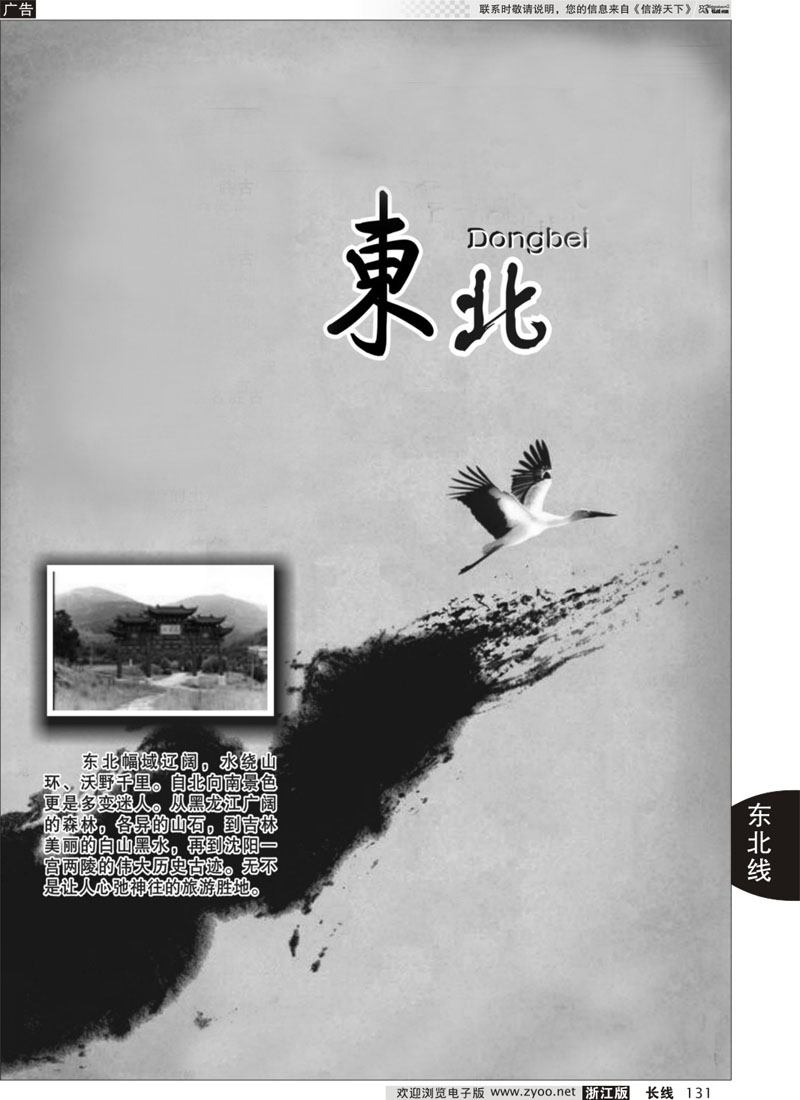 131 东北专版