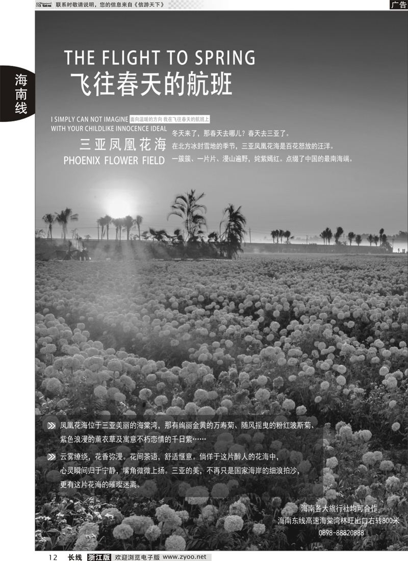 12 三亚凤凰花海 