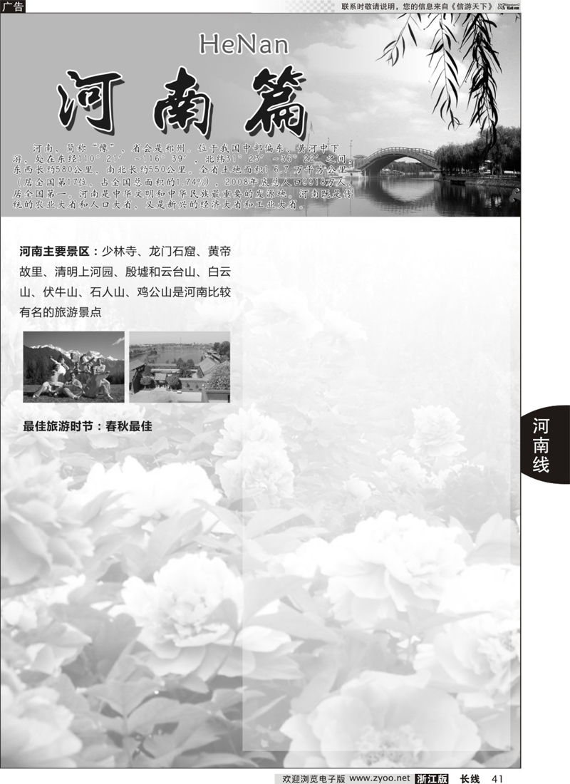 41 河南专版