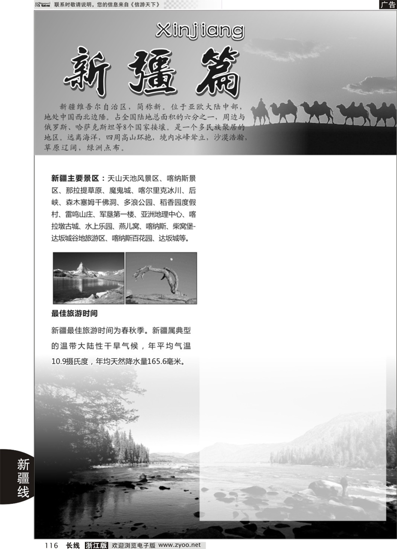 116 新疆专版 