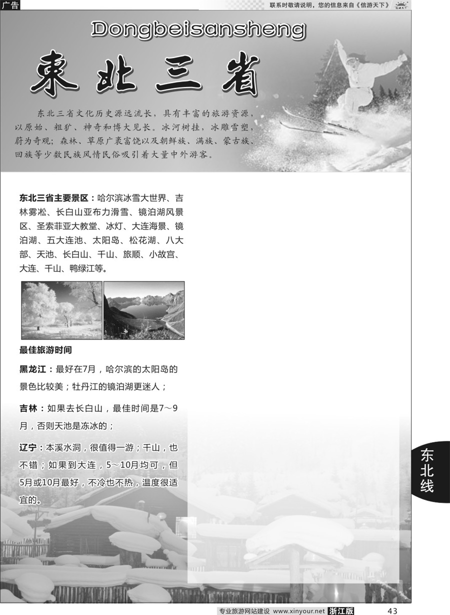 43东北专版
