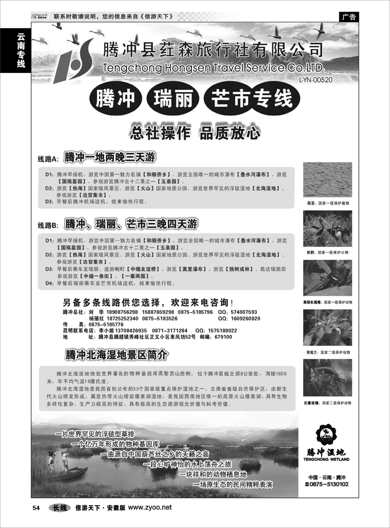 54 云南专线 云南腾冲荭森旅行社-腾冲、瑞丽、芒市专线