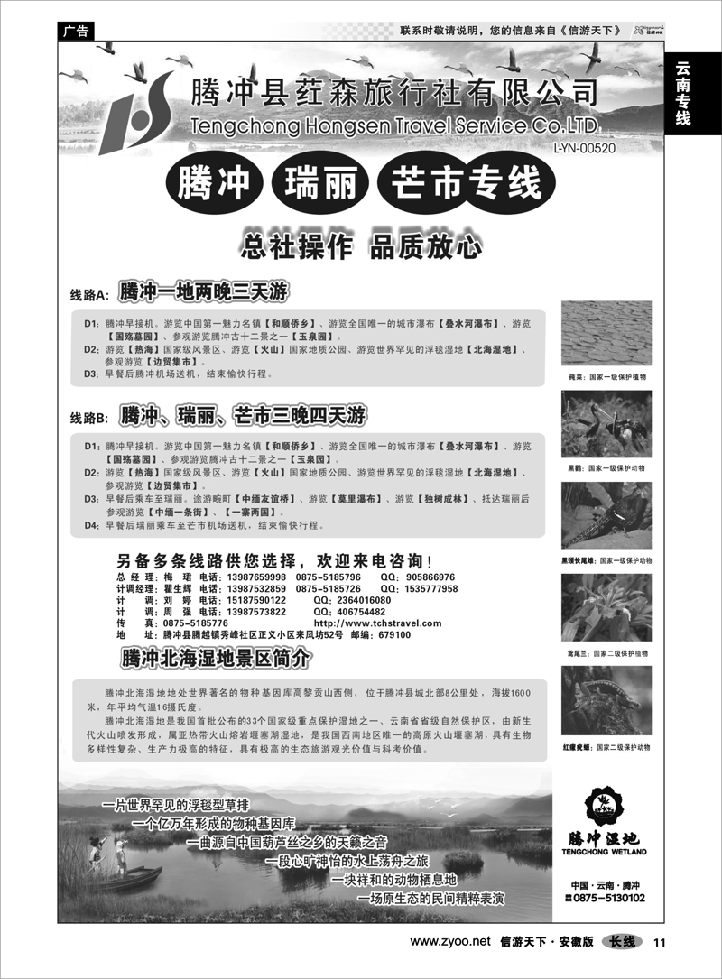 11云南专线   云南腾冲荭森旅行社-腾冲、瑞丽、芒市专线