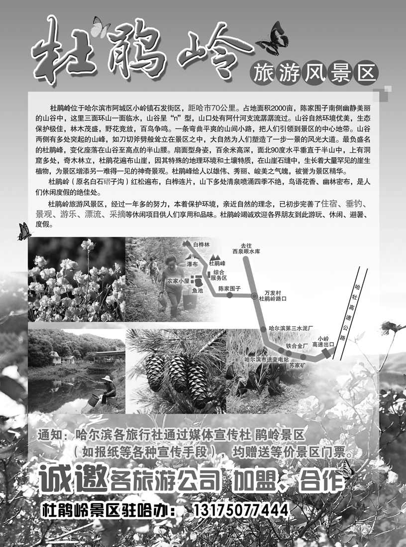 a13杜鹃岭旅游风景区