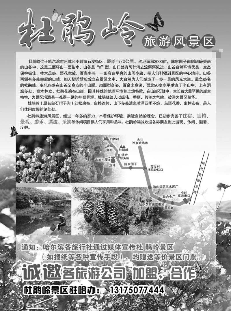 a13杜鹃岭旅游风景区