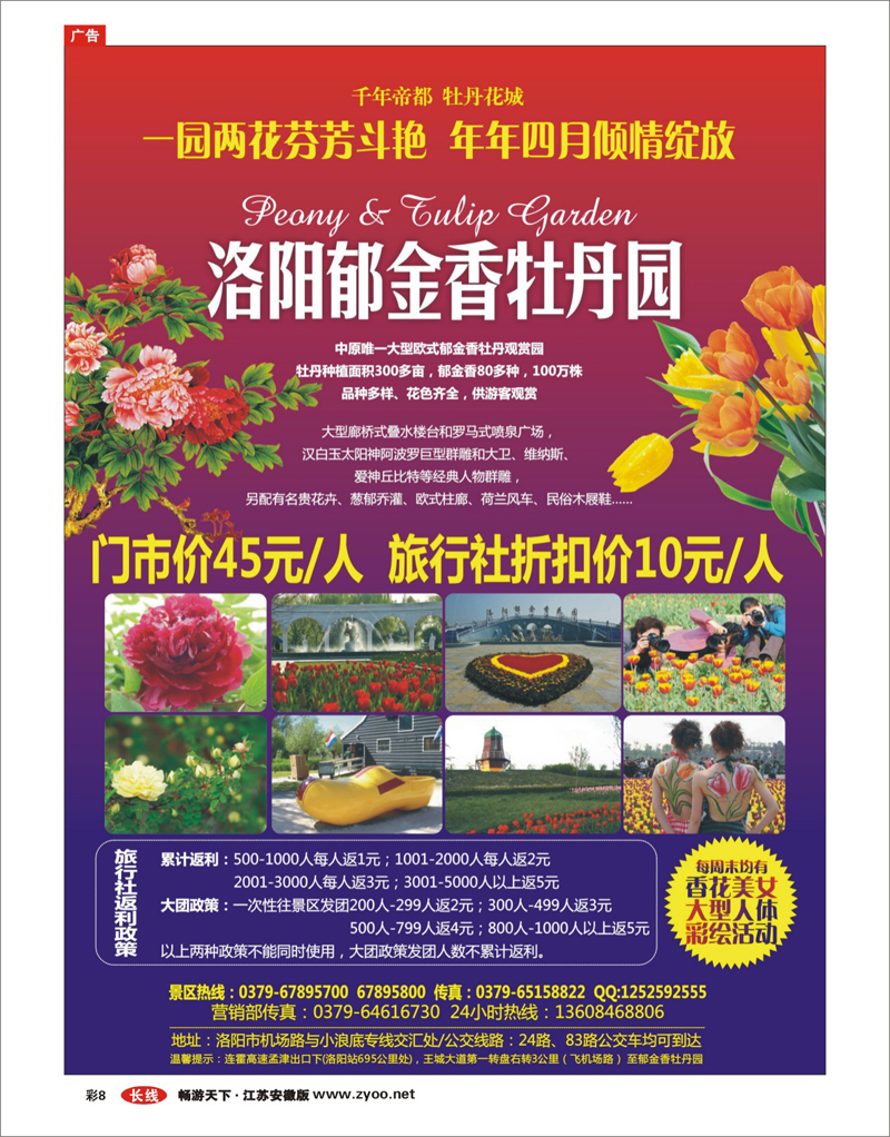 8 洛阳郁金香牡丹园