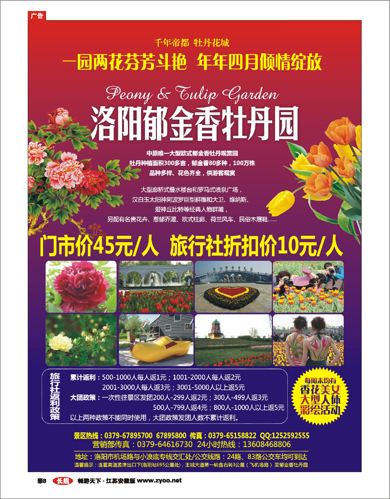 彩8 洛阳郁金香牡丹园