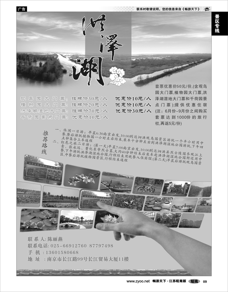 9 景区专线 洪泽湖(观鸟园、植物园、洪泽湖湿地、千荷园门票)