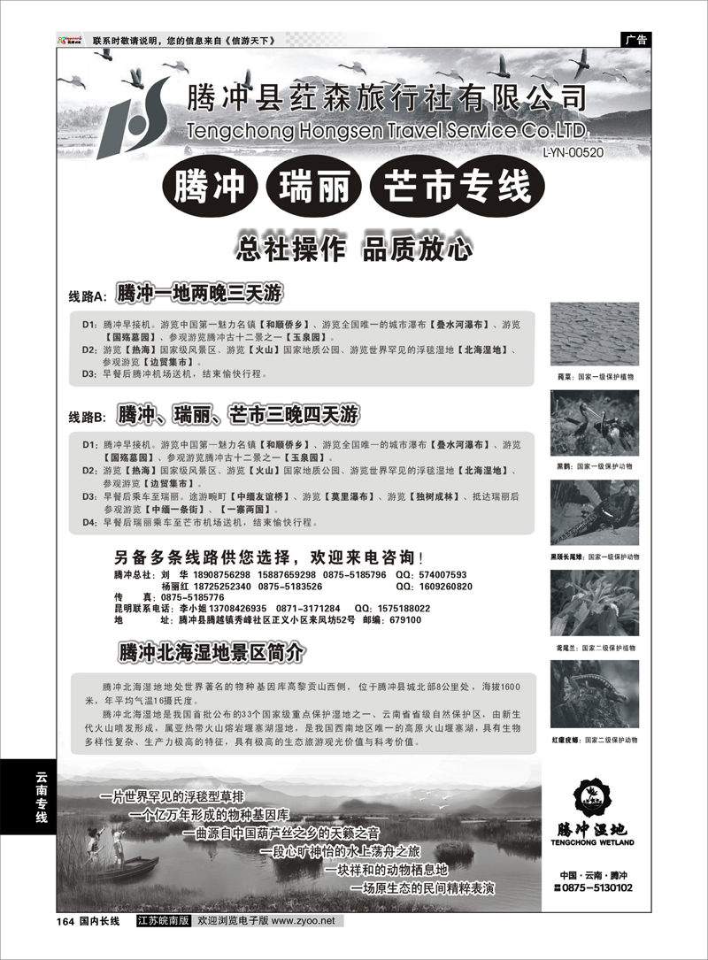 164 云南专线 云南腾冲荭森旅行社-腾冲、瑞丽、芒市专线