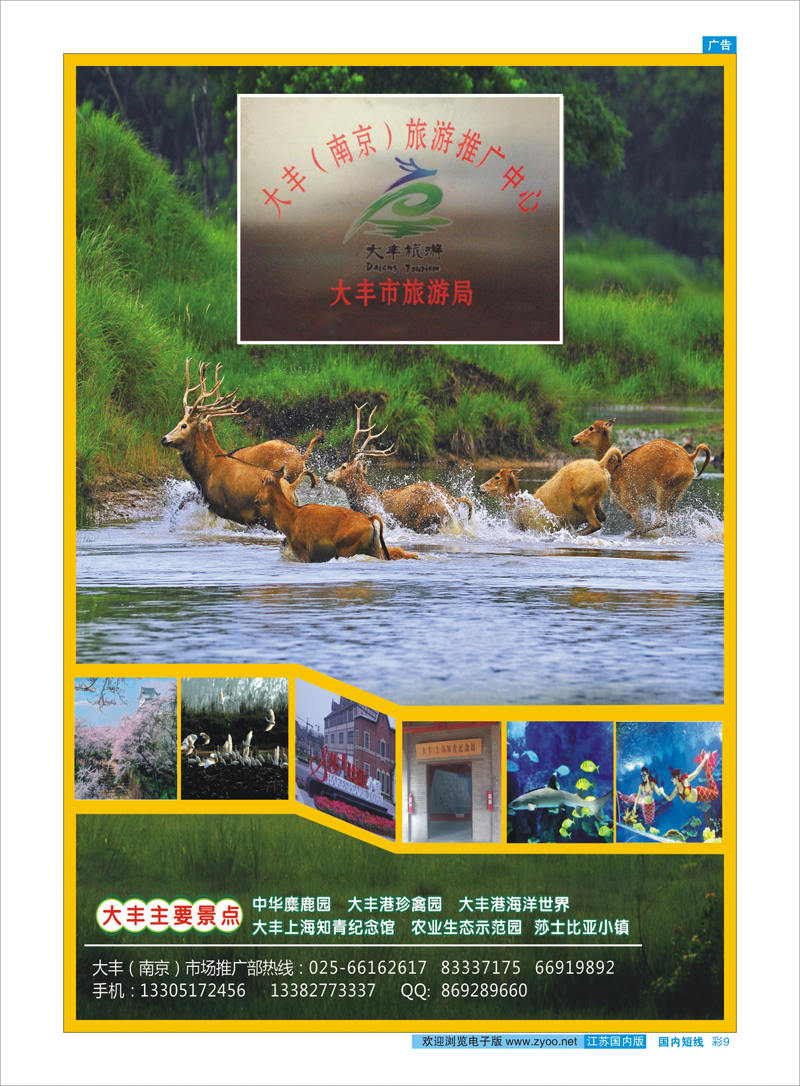彩9 大丰（南京）旅游推广中心
