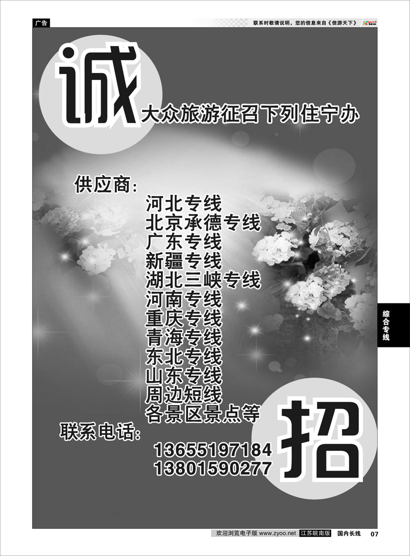 7 诚招专线供应商 综合专线