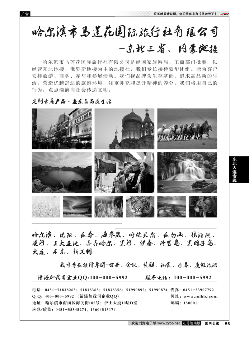 55  哈尔滨市马莲花国际旅行社有限公司东北大连专线