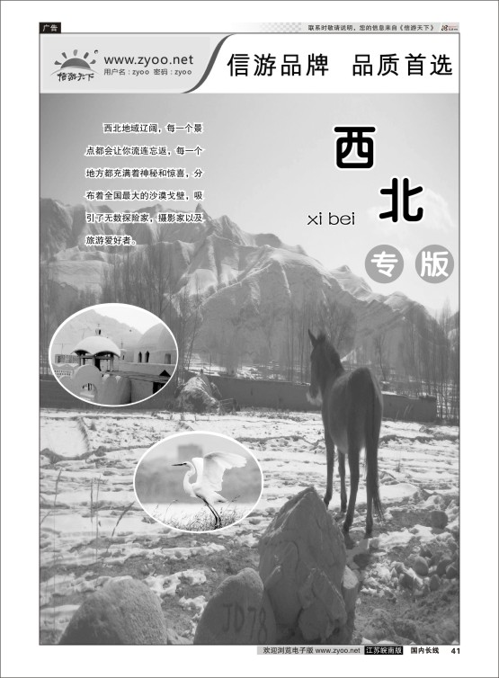 41 西北专线