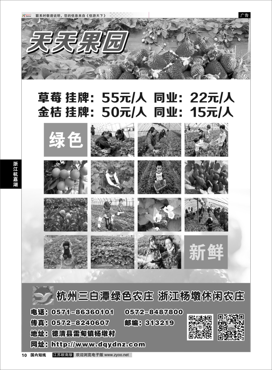 p10 杨墩休闲农庄  浙江专线杭嘉湖