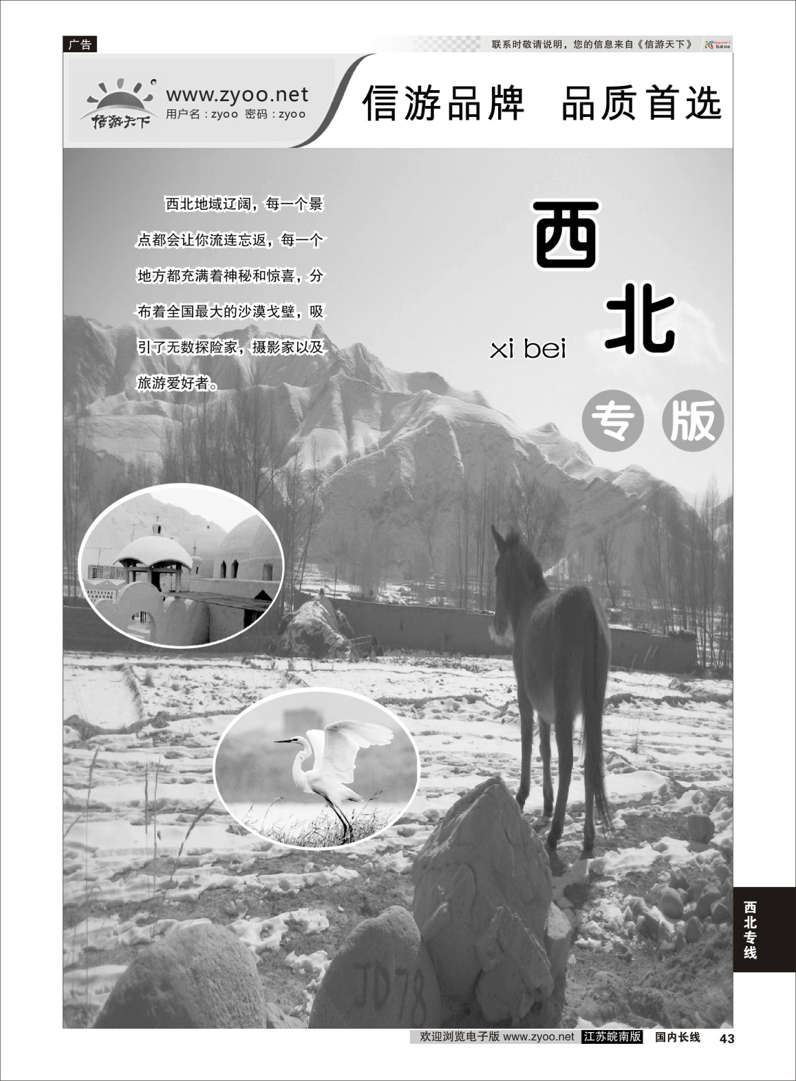 P43 西北专线