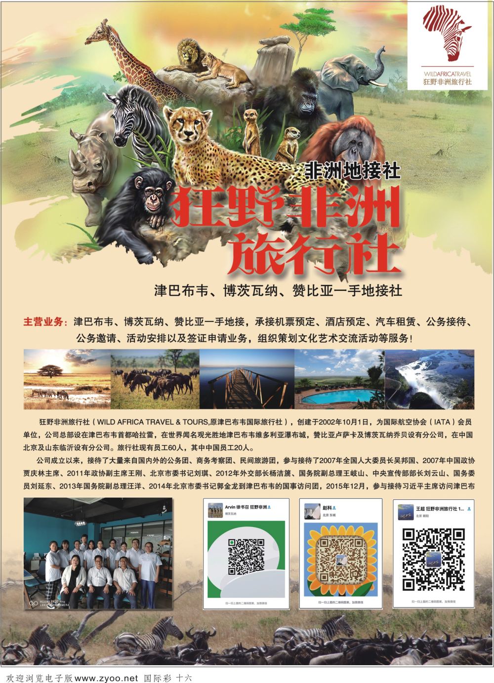 彩16狂野非洲旅行社