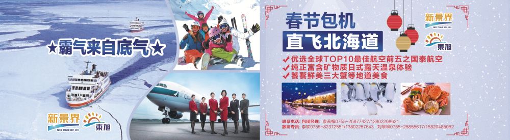 r0-1  封皮套  日本东旭-日本春节包机