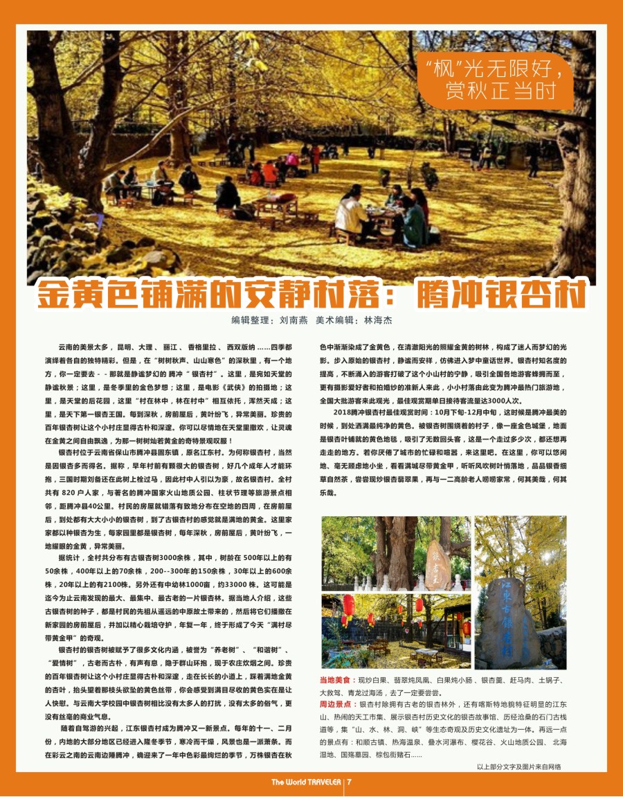   r扉07  金黄色铺满的安静村落：腾冲银杏村