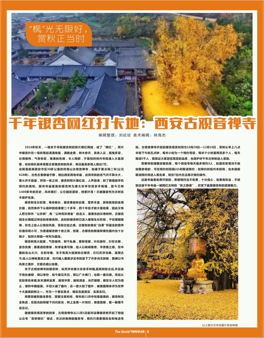   r扉08  千年银杏网红打卡地：西安古观音禅寺