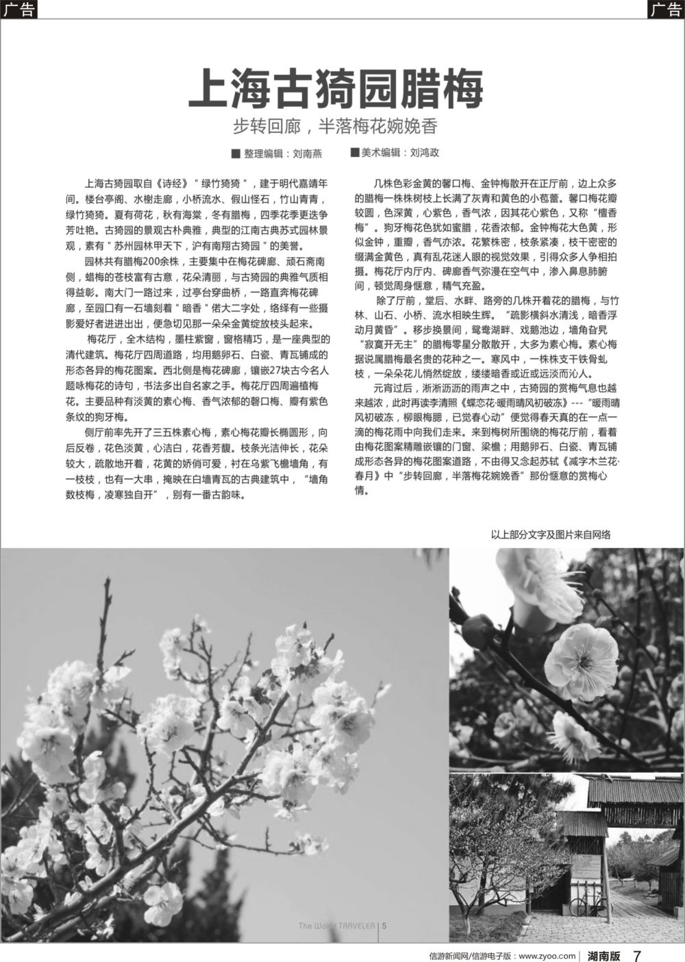 b07 步转回廊，半落梅花婉娩香——上海古猗园腊梅