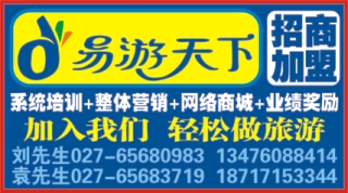 483JHF005湖北易游天下国际旅行社