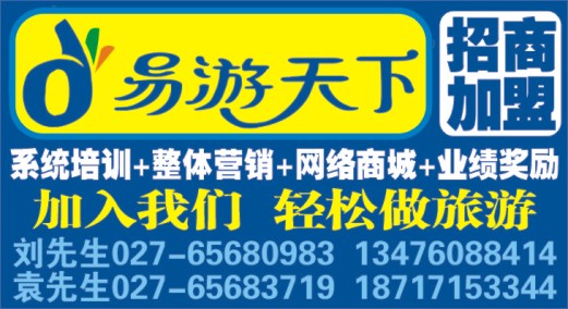 496JHF005湖北易游天下国际旅行社