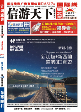 517-国际红版封面