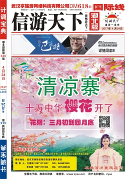 国际r--小封面
