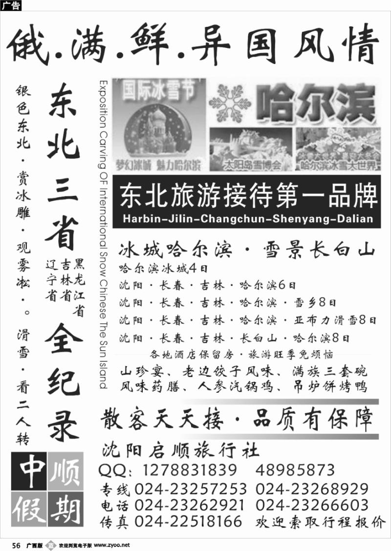 b56东北天天游