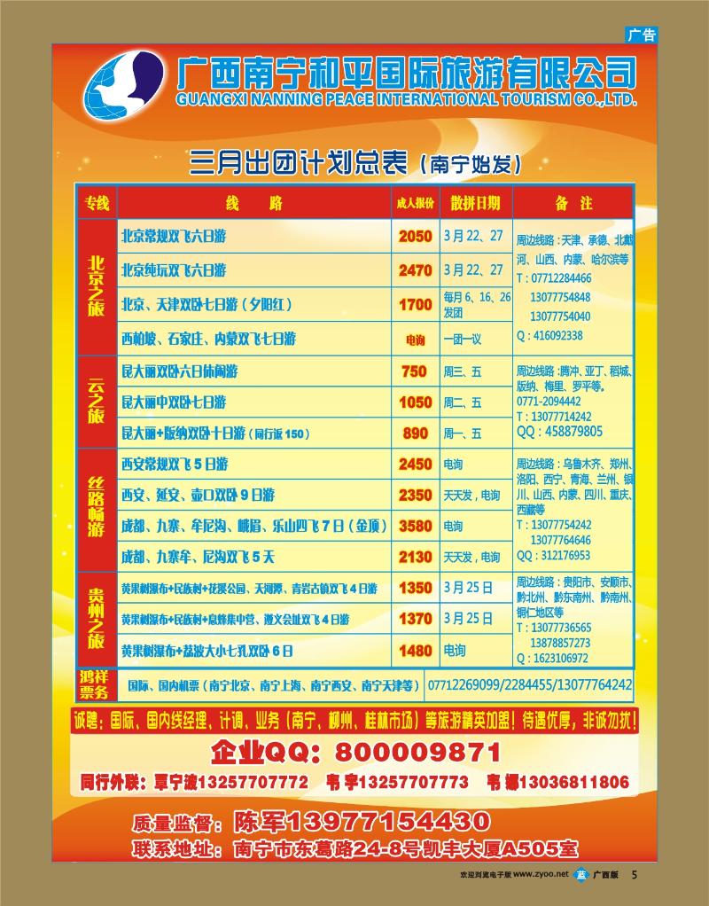 bb05广西南宁和平国际旅游有限公司