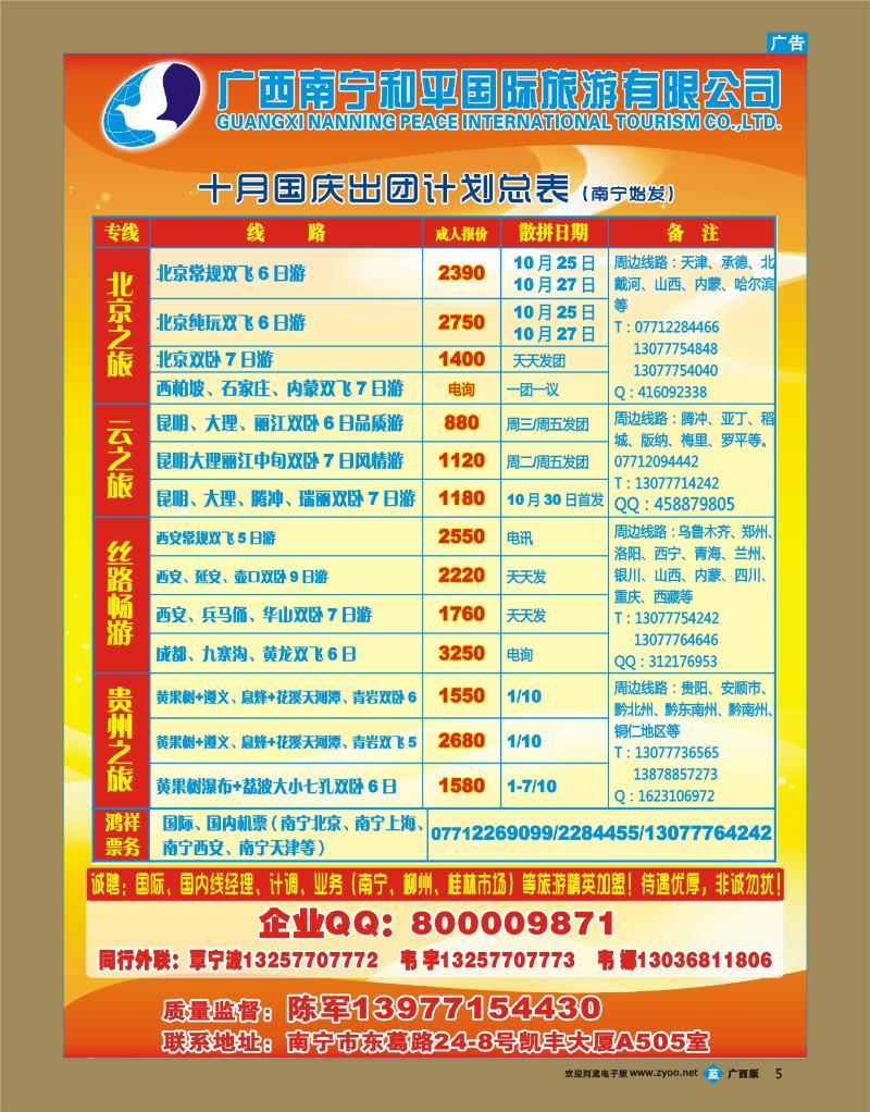 b05广西南宁和平国际旅游有限公司
