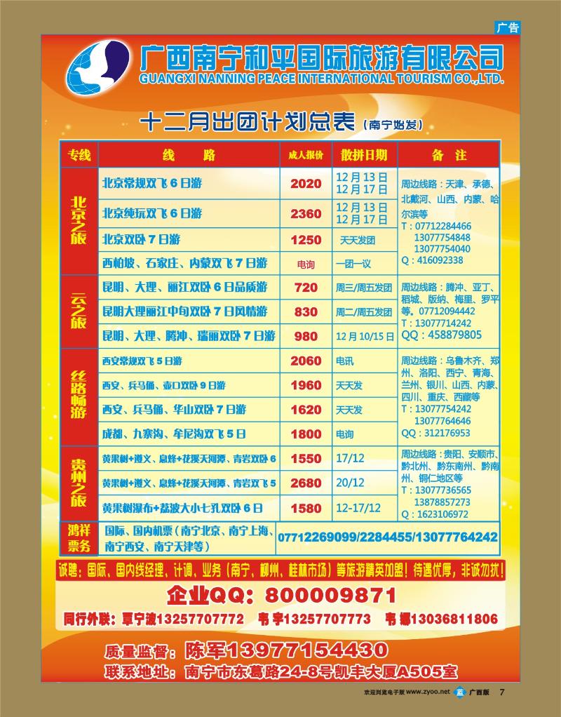 bb07广西南宁和平国际旅游有限公司