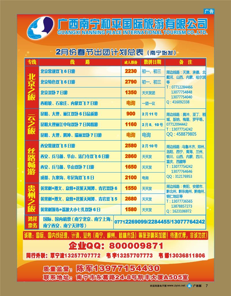 bb07广西南宁和平国际旅游有限公司