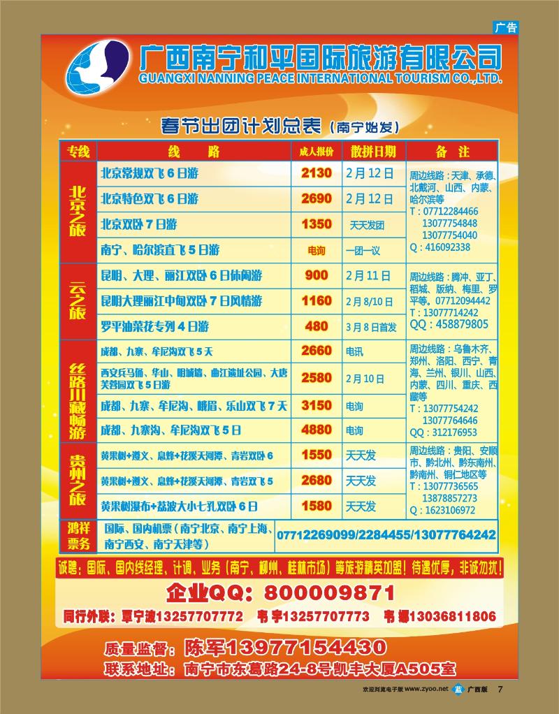 bb07广西南宁和平国际旅游有限公司