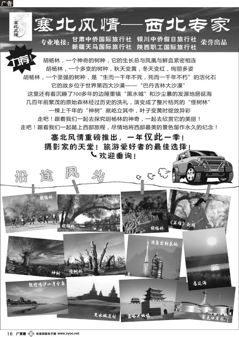 b16塞北风情-西北专家