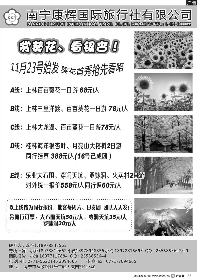 r23南宁康辉—葵花赏叶专线
