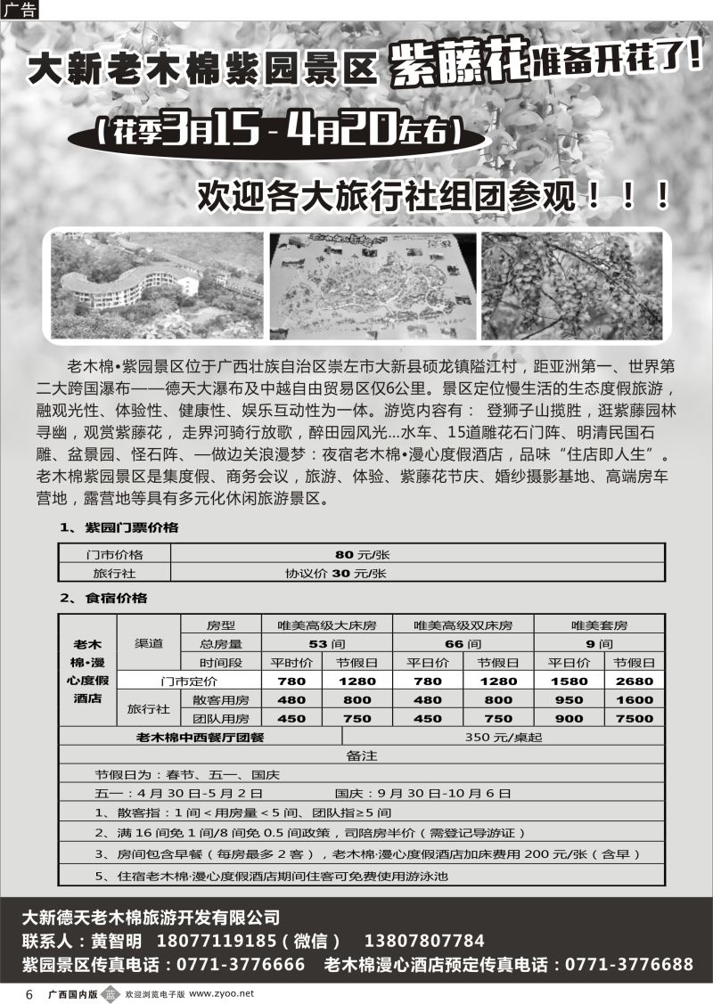 b17大新老木棉紫园景区——紫藤花开了